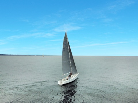 Photo of the Pegasus Racing J-E100 — Rear view of main and jib