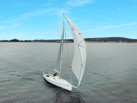 Photo of the Pegasus Racing J-E100 — Well cut universal spinnaker for light to heavy air sailing